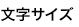 文字サイズ